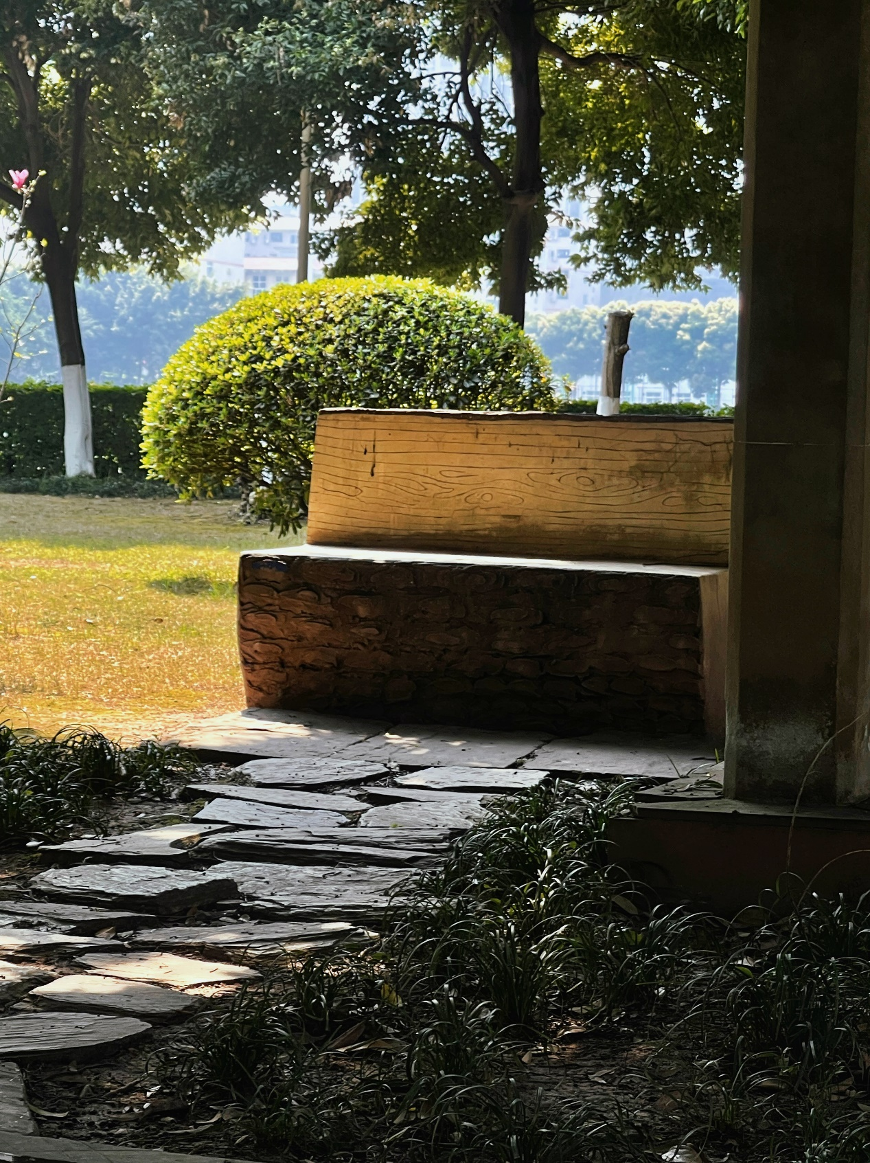 校园六景IMG_0527.PNG